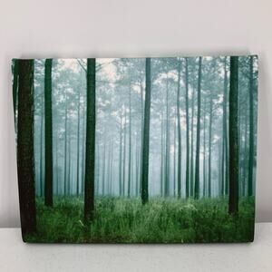 Home Photography Canvas Print Artist Signed Beaufort South Carolina Forest Trees